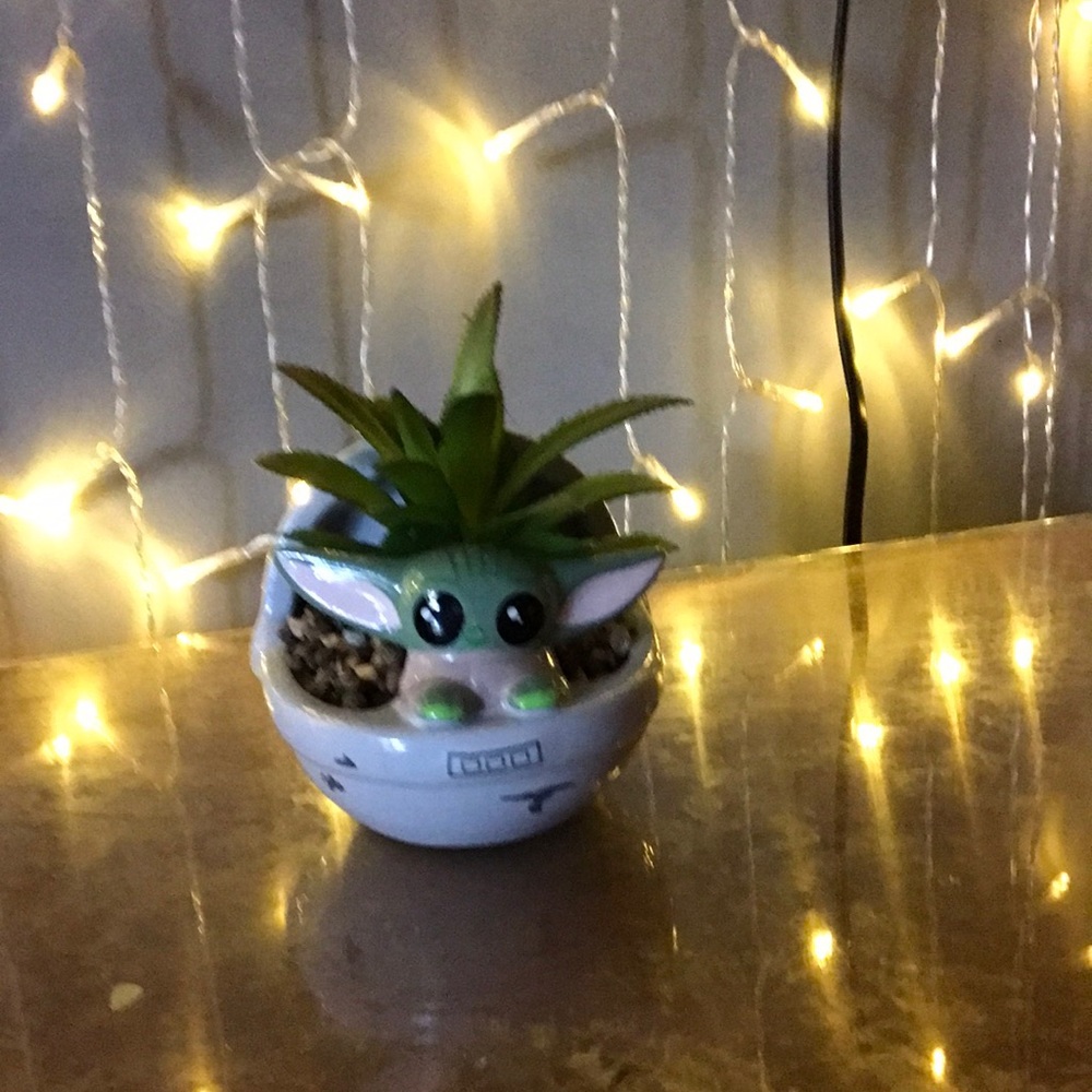 Star Wars baby Yoda plant